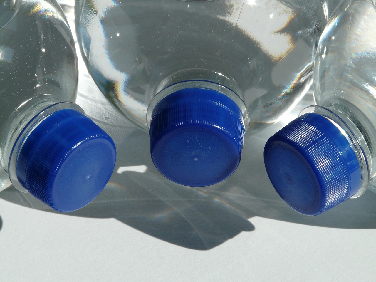 Debunking the Misconceptions About Biodegradable Plastics